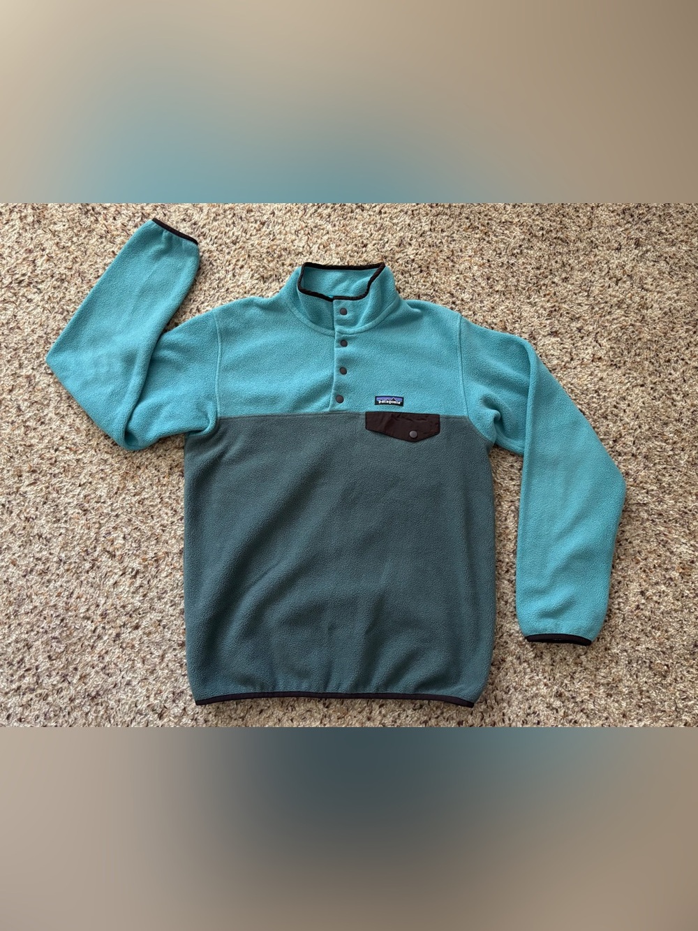 Patagonia Lightweight Synchilla Snap-T Pullover